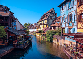 MEDIPREMA at the AFIB 2024 Congress